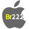 Aplicativo Br222 para iOS