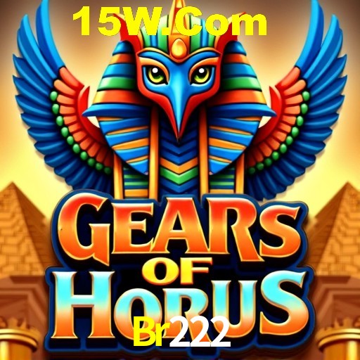 Bonus Features Br222