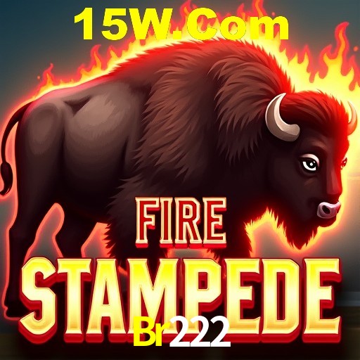 Descubra a Essência do Br222: Nossa História e Compromissos