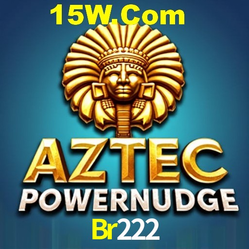 Platform Technology Br222