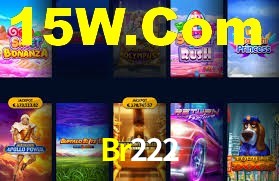 Premium Interface Br222